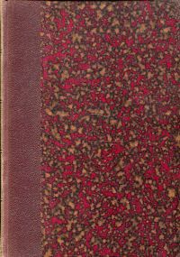 Blätter für bernische Geschichte, Kunst und Altertumskunde, I. Jahrgang. (Umschlag)