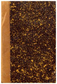 Riehm, Handwörterbuch des Biblischen Altertums (Umschlag)