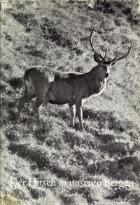 Schmidt, Der Hirsch in unseren Bergen. (Umschlag)