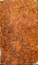 Bericht und Gutachten der zu Untersuchung und Erörterung der bernischen Dotation (Umschlag)