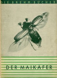 Scheerpeltz, Der Maikäfer. (Umschlag)