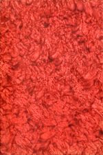 Vischer, Jugend und Alter in der Geschichte. (Umschlag)