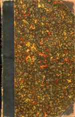 Venedey, Die deutschen Republikaner unter der französischen Republik. (Umschlag)