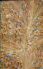 Staehelin, Johannes Calvin. (Umschlag)