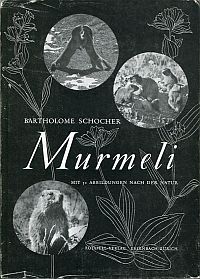Schocher, Murmeli. (Umschlag)