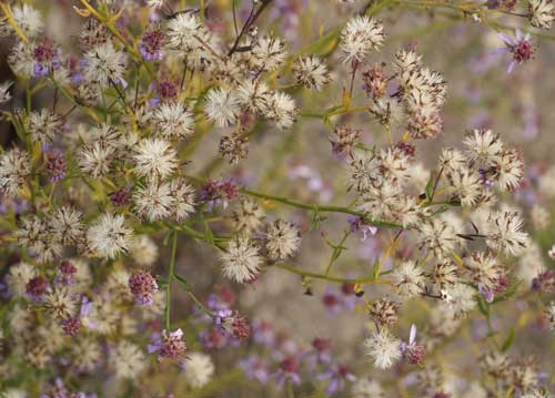 bildreich karten PK 846: kurz vor dem flug.