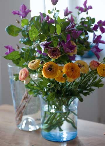 bildreich karten PK 903: clematis und ranunculus.