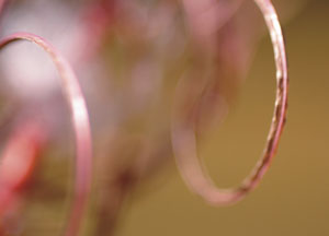 bildreich karten PK 90: lilie II.