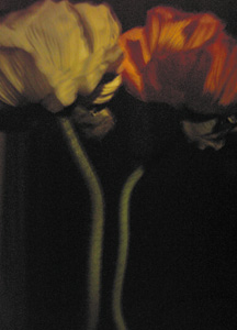 bildreich karten PK 246: nachtberührt.