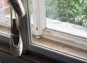 bildreich karten PK 388: pas de deux.