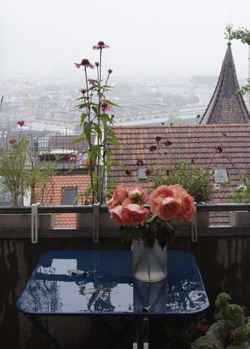 bildreich karten PK 823: danielas balkon.