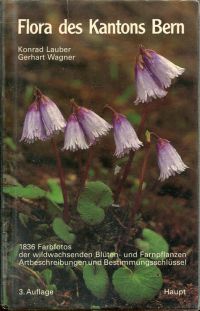 Lauber, Flora des Kantons Bern. (Umschlag)